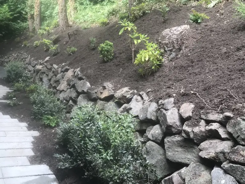 Gallery Thumbnail 19